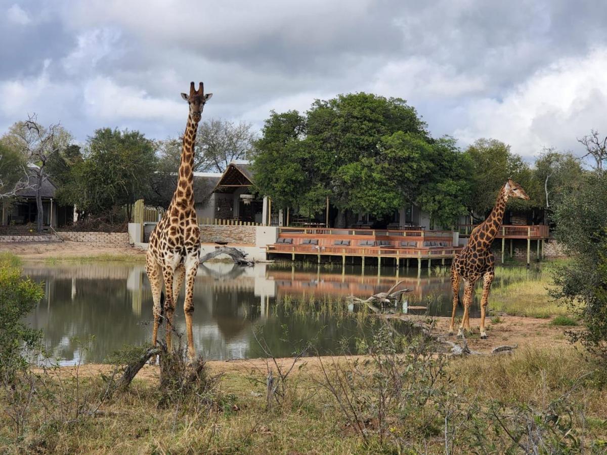 Simbavati Waterside Villa Klaserie Private Nature Reserve Exterior photo